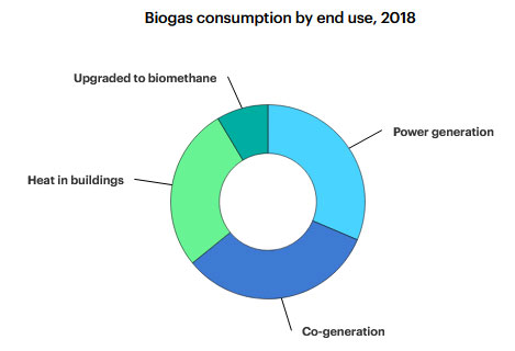 Biogas Consumption Graph